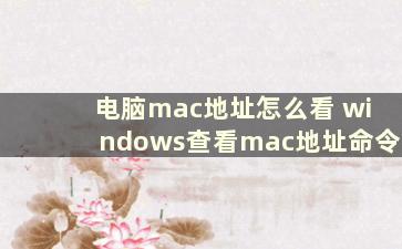 电脑mac地址怎么看 windows查看mac地址命令